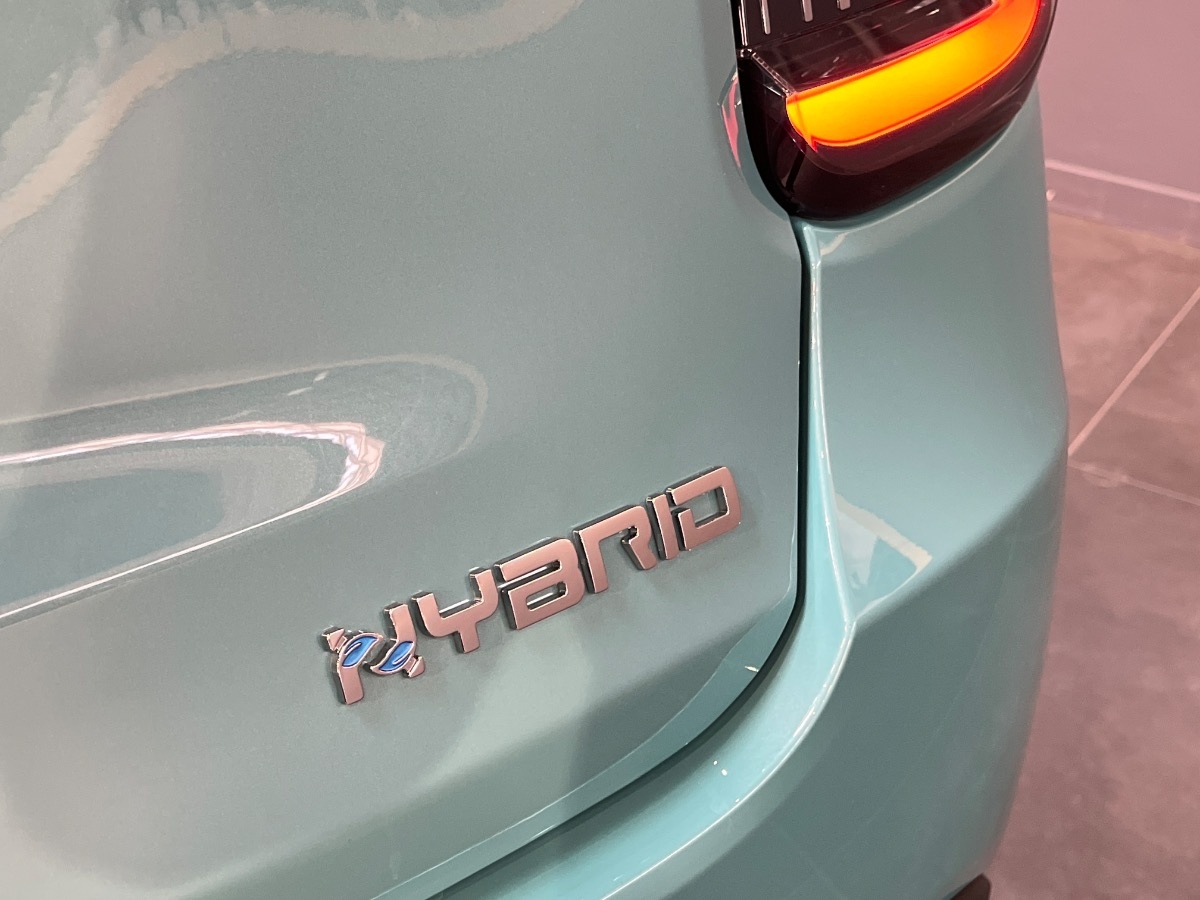 Fiat 600 Nuovo Ibrido benzina 600 Verona