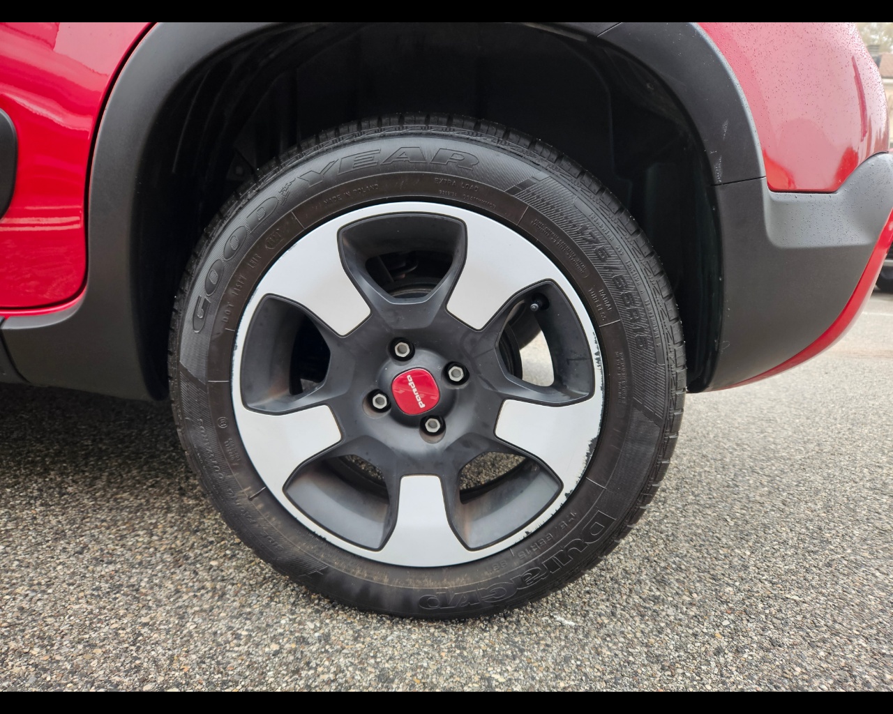 FIAT Panda 1.0 firefly hybrid Cross s&s 70cv 5p.ti Ibrido benzina Usato - 15