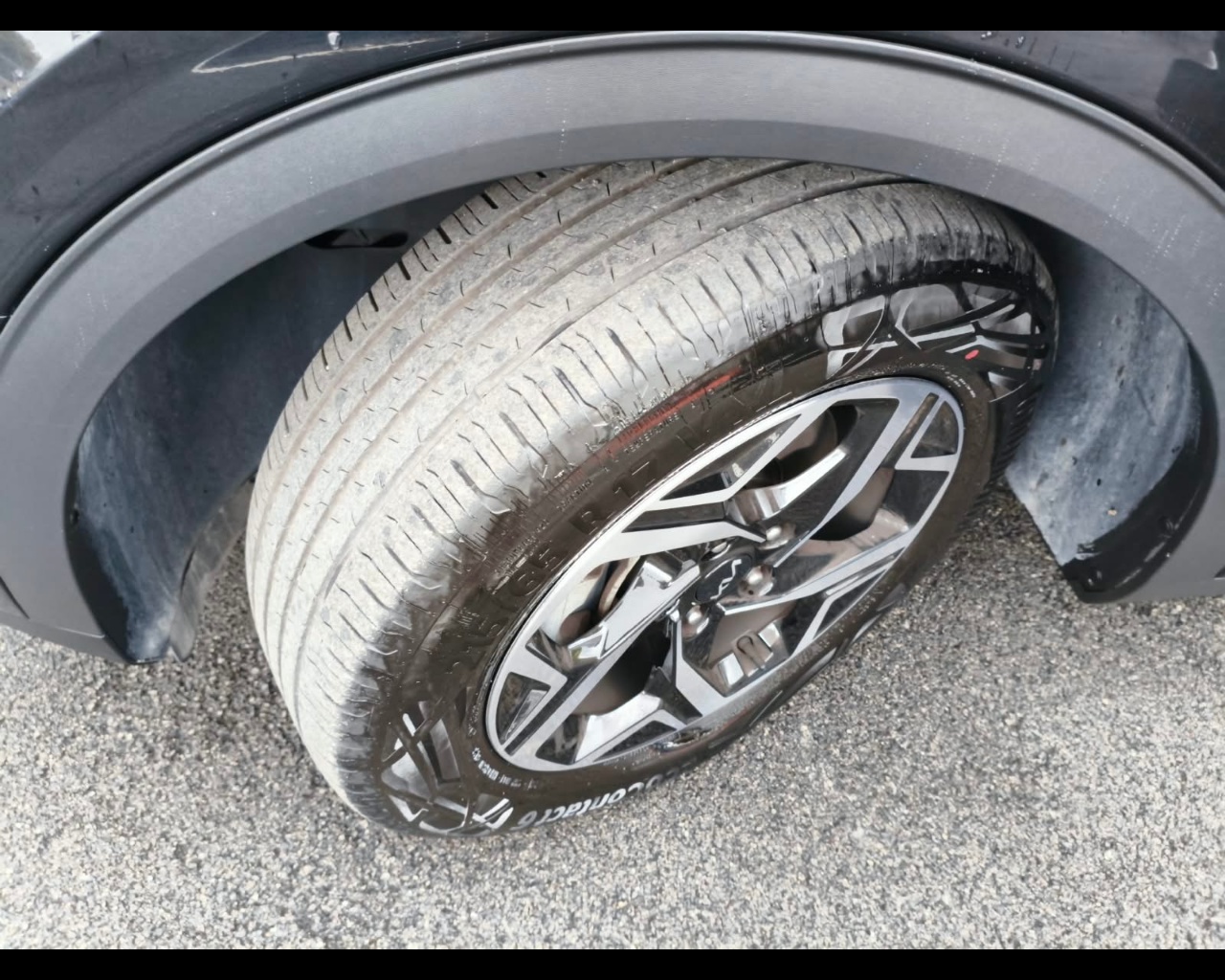 Foto KIA Sportage 1.6 crdi mhev Business dct