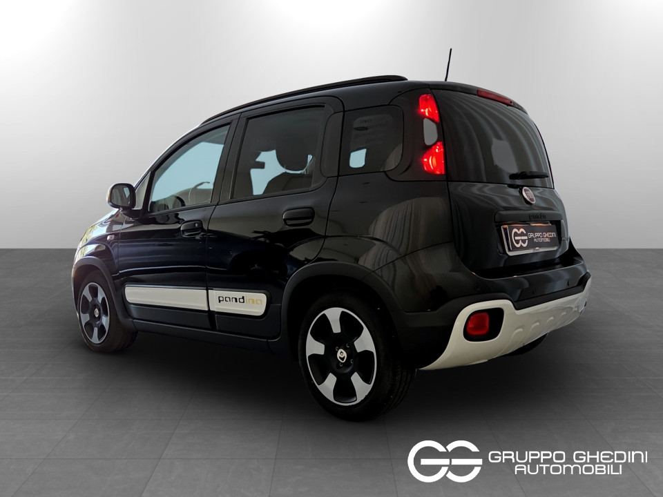 FIAT Panda Pandina 1.0 firefly hybrid s&s 70cv Ibrida usato - 2
