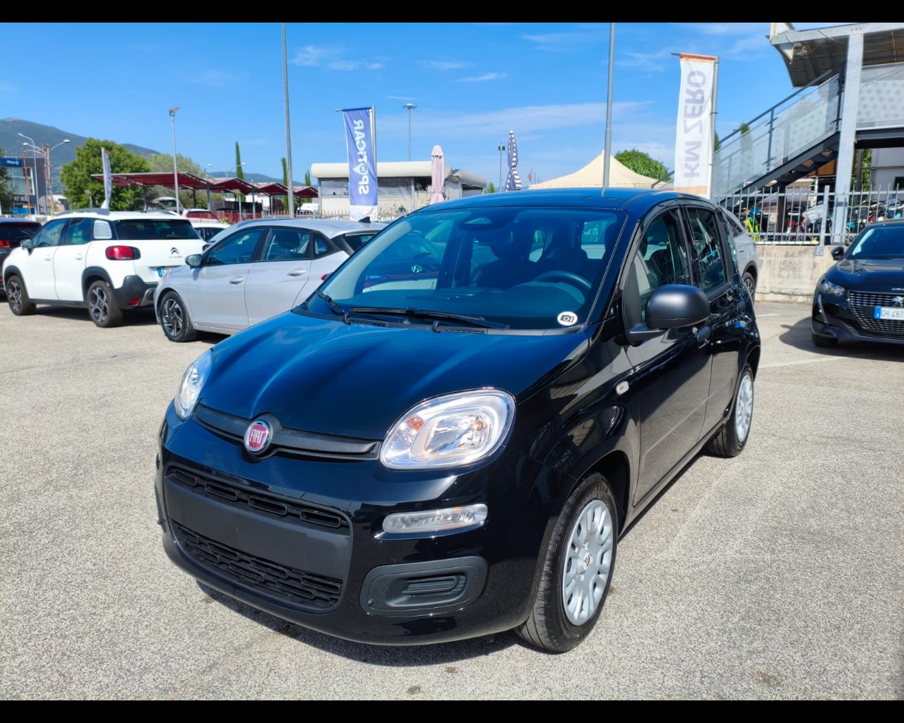 FIAT Panda 1.0 firefly hybrid s&s 70cv 5p.ti usata per neopatentati