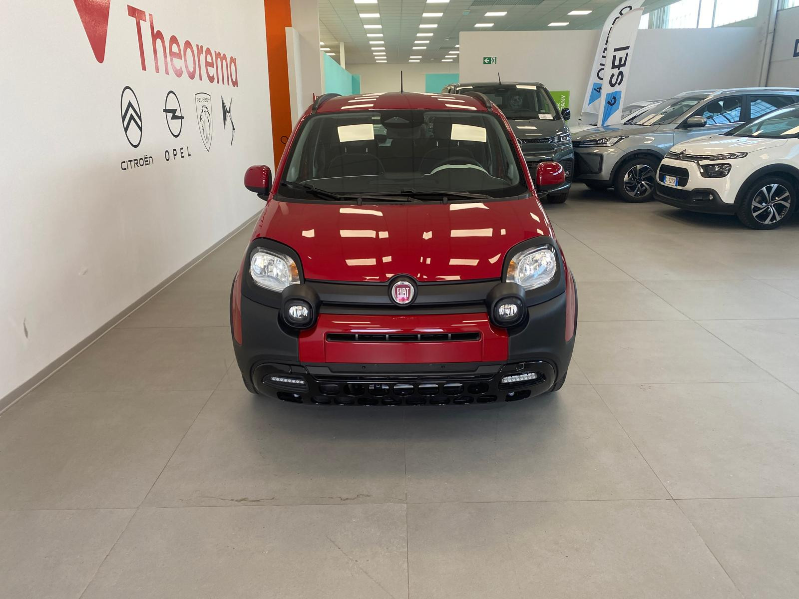 FIAT Pandina Iii 2024 Cross Pandina Cross 1.0 firefly hybrid s&s 65cv