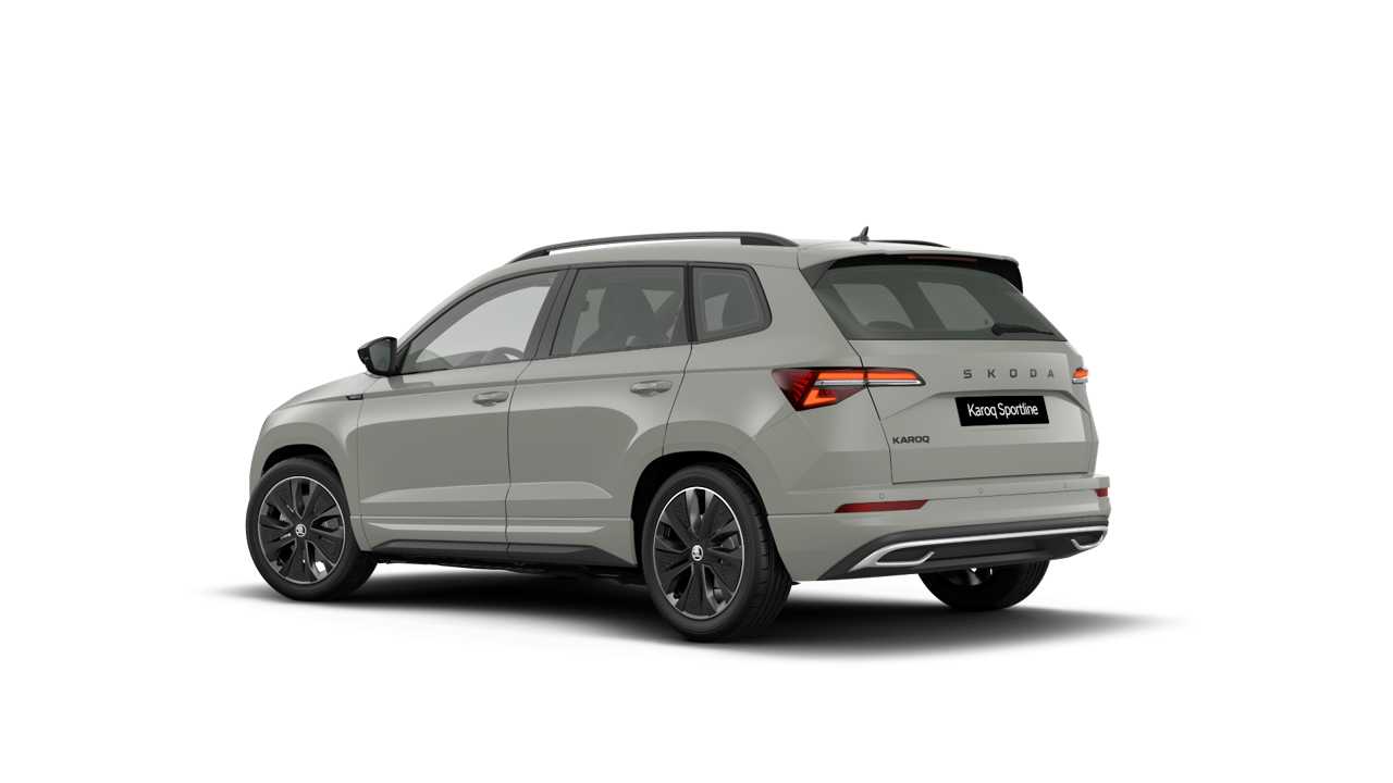 Skoda Karoq Nuovo Benzina Karoq Rovigo