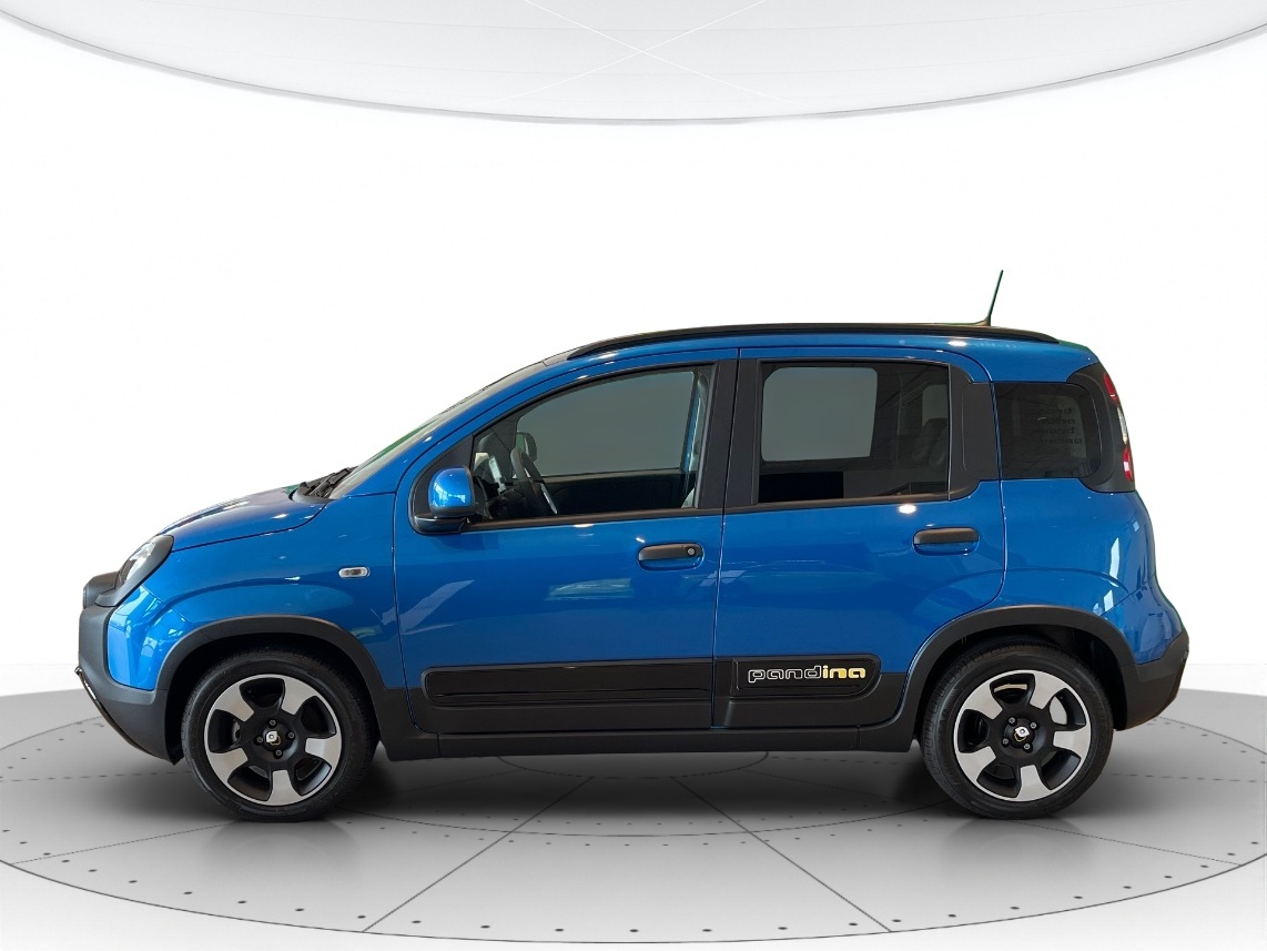 Fiat Panda Nuovo Ibrido benzina Panda Rovigo