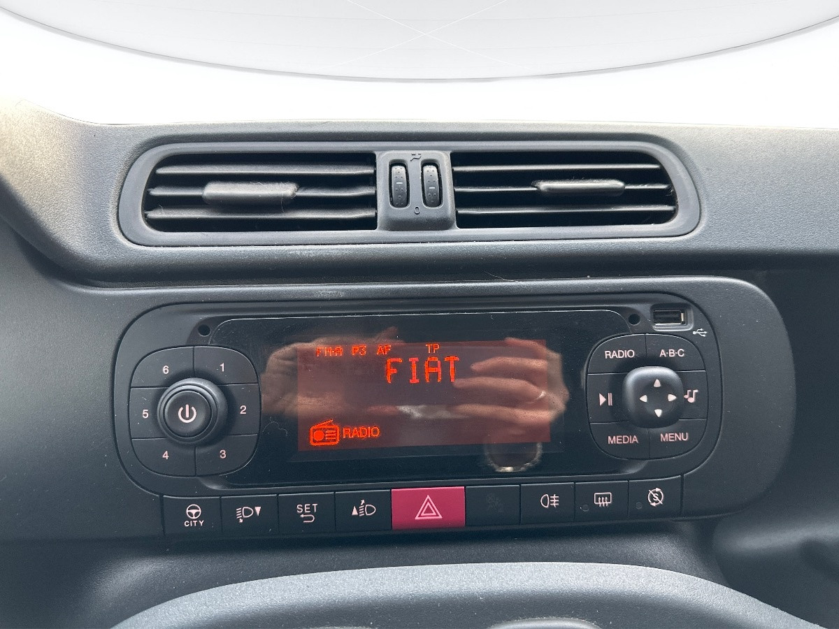 Fiat Panda Usato 2020 Panda Carpi