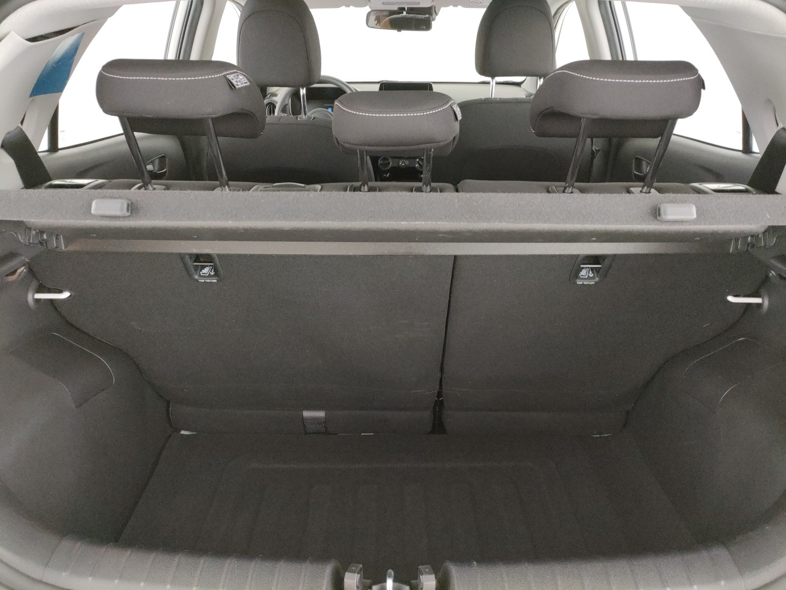 Kia Picanto Usato 2025 Picanto Padova