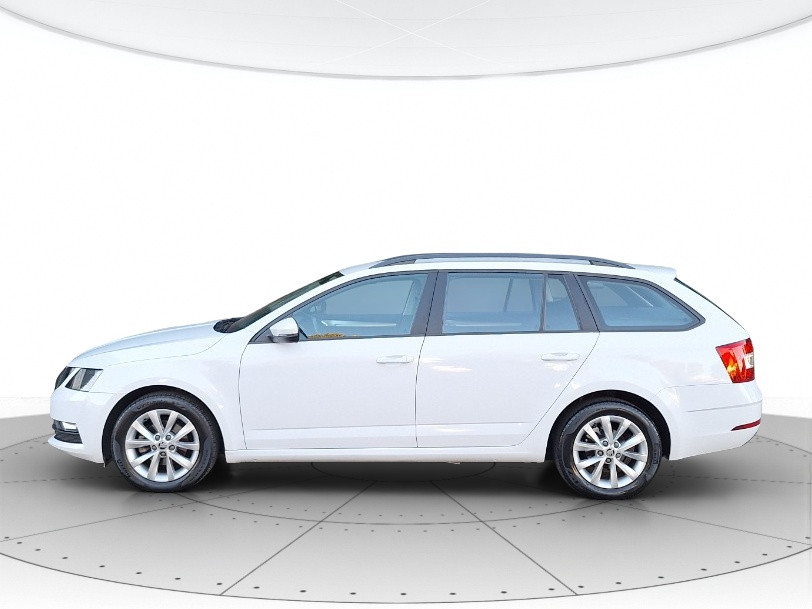 Skoda Octavia Usato 2019 Octavia San Vendemiano