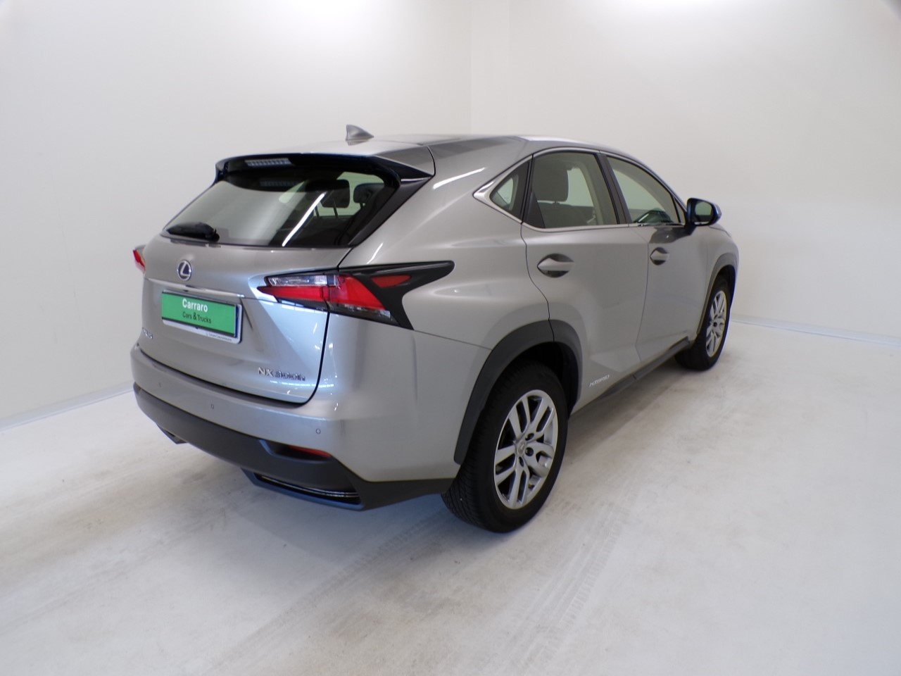 Lexus NX NX 300 2.5 Hybrid Icon 4WD CVT - 6