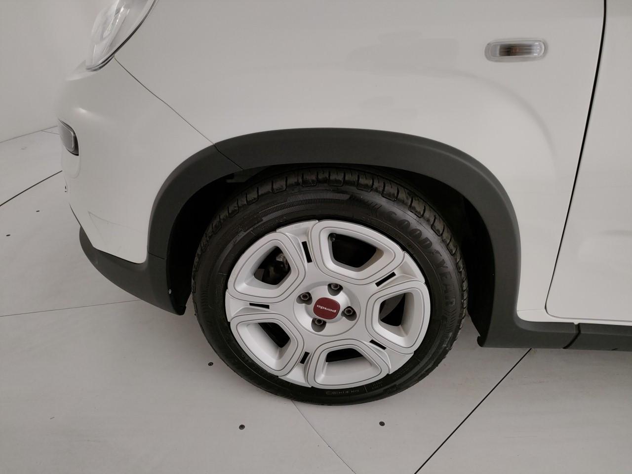Fiat Panda Usato 2024 Panda Mestre