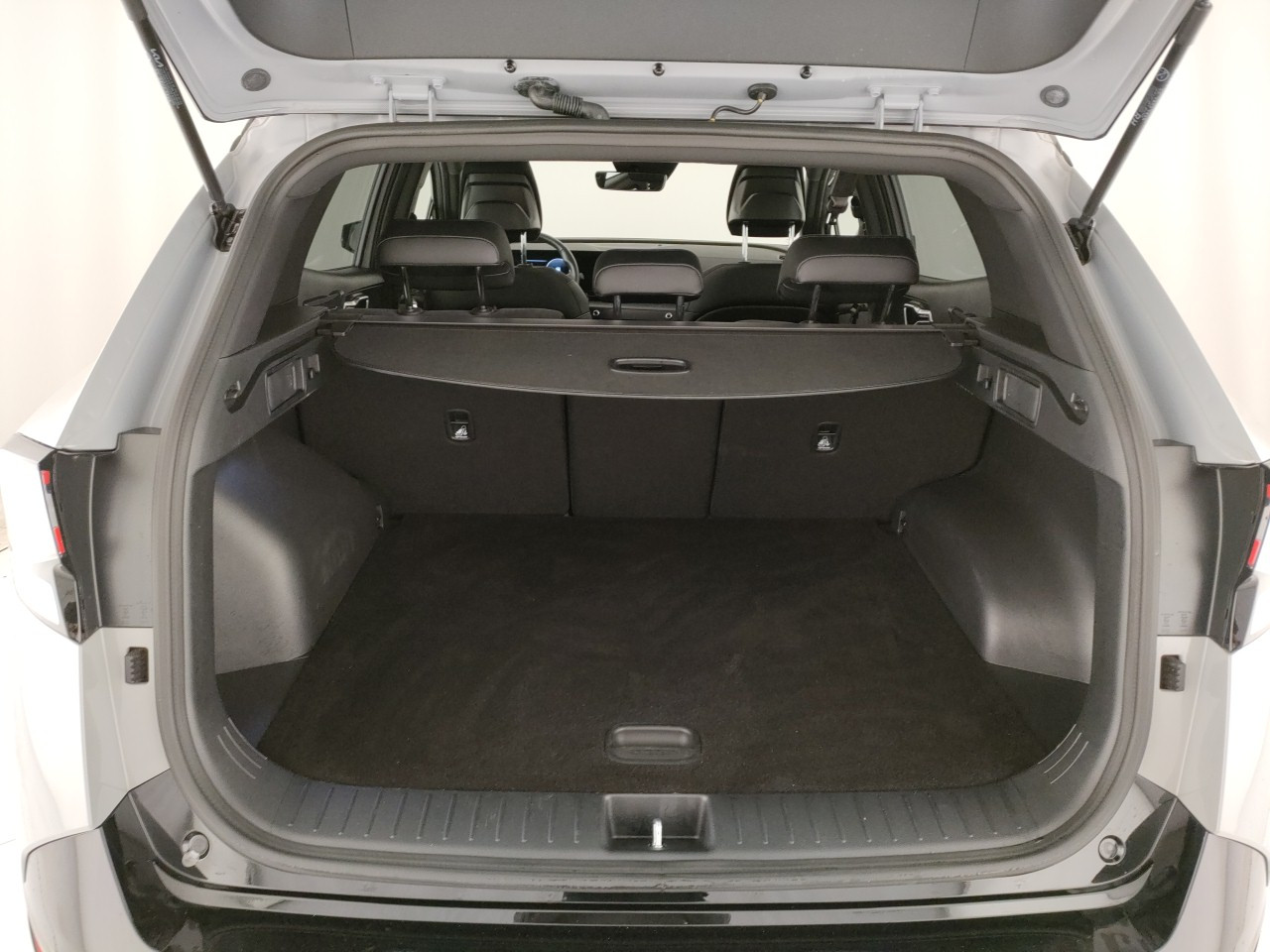 Kia Sportage Usato 2024 Sportage Reggio Emilia