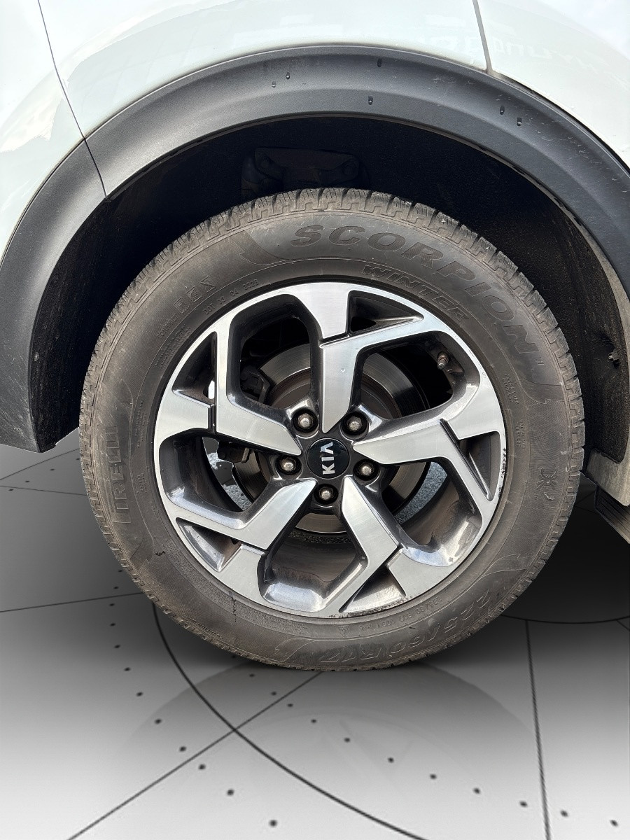 Kia Sportage Usato 2021 Sportage Rovigo