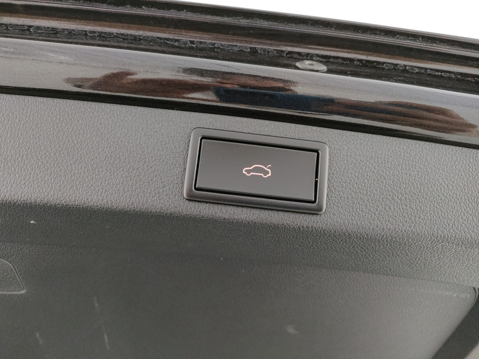 Skoda Octavia Usato 2019 Octavia Rovigo