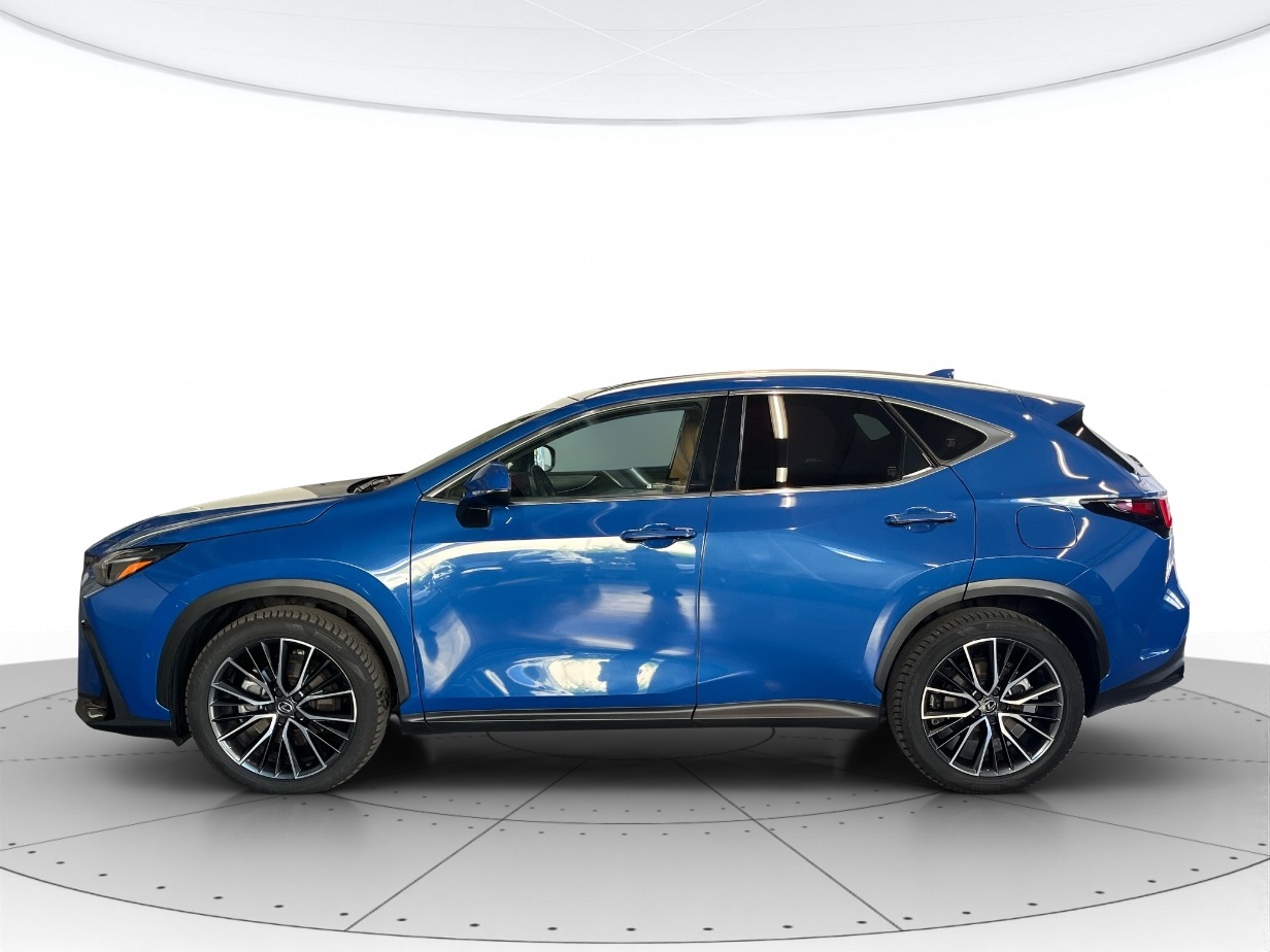 Lexus NX Usato 2023 NX Verona