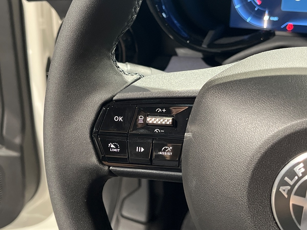 Alfa Romeo Junior Nuovo Ibrido benzina Junior Rovigo