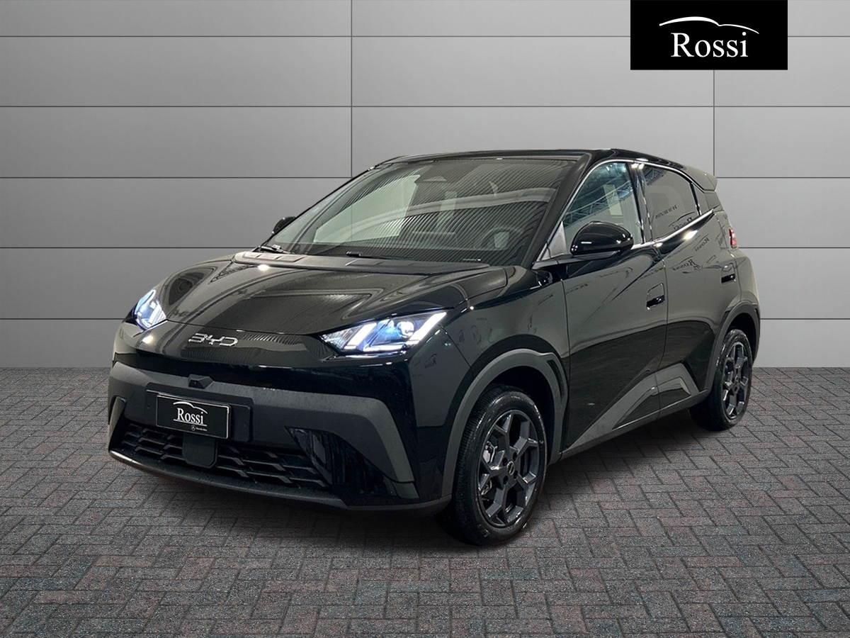 BYD BYD DOLPHIN SURF Comfort