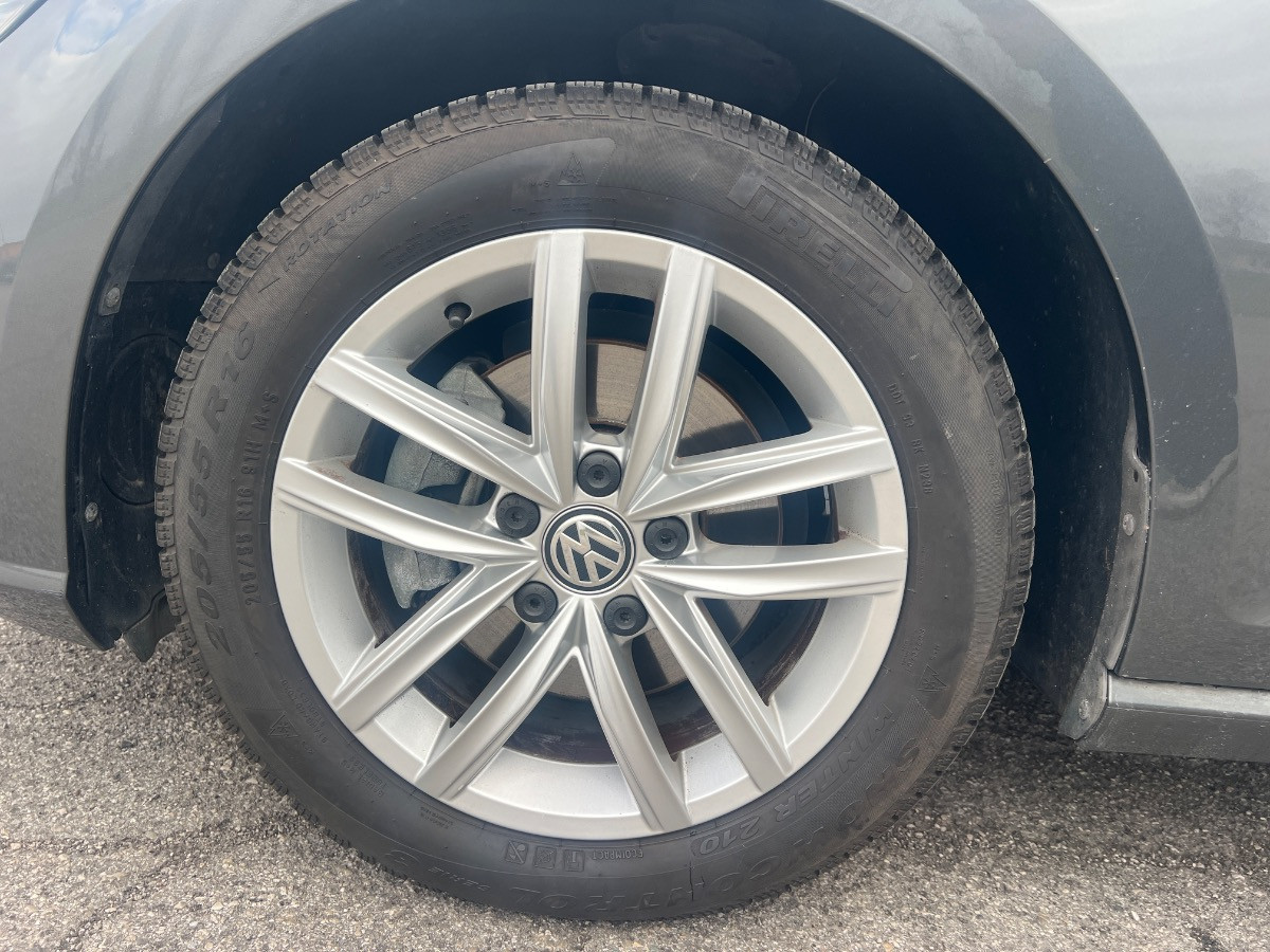 Volkswagen Golf Usato 2017 Golf Rovigo