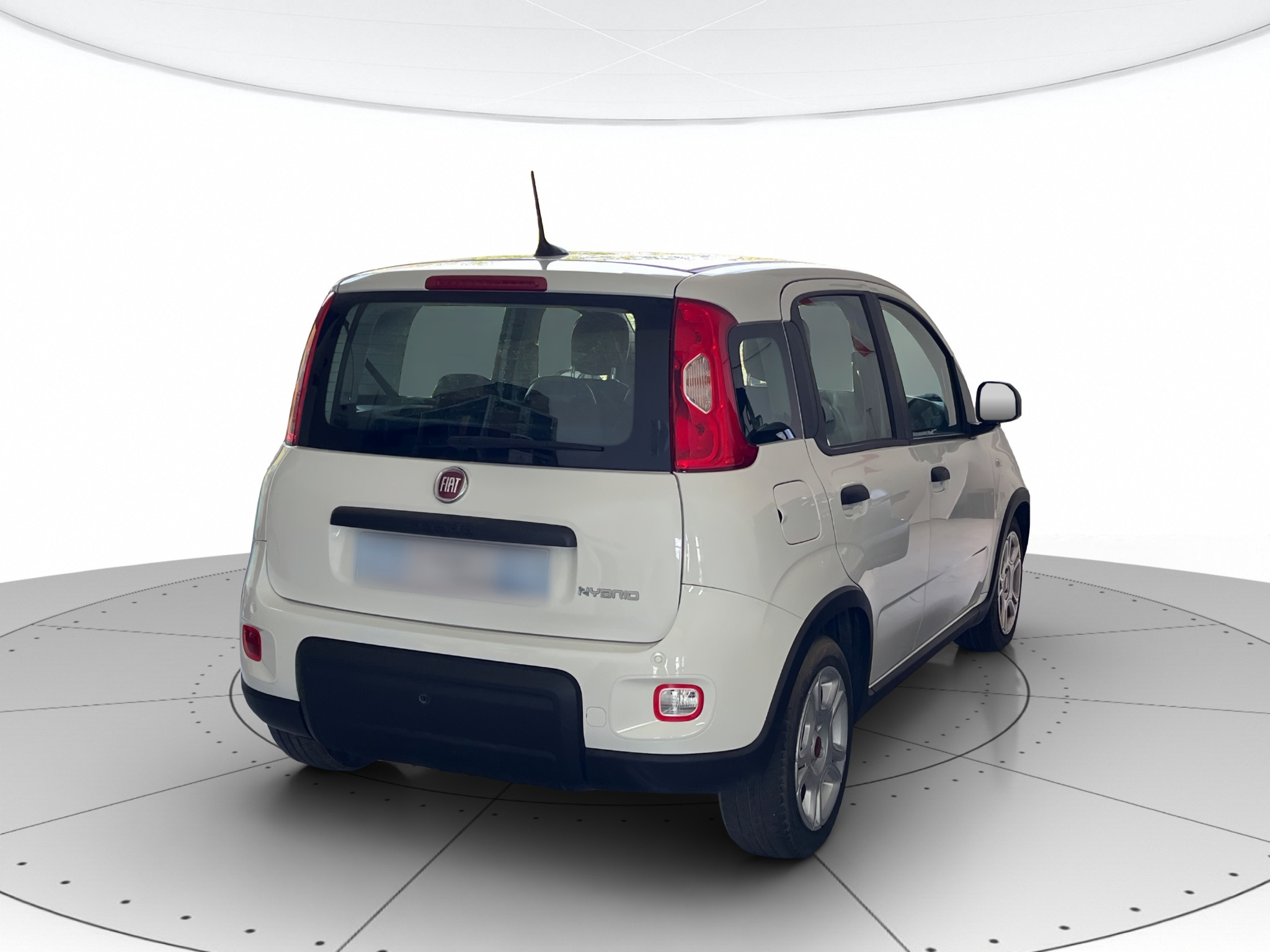 Fiat Panda Usato 2024 Panda Cerea