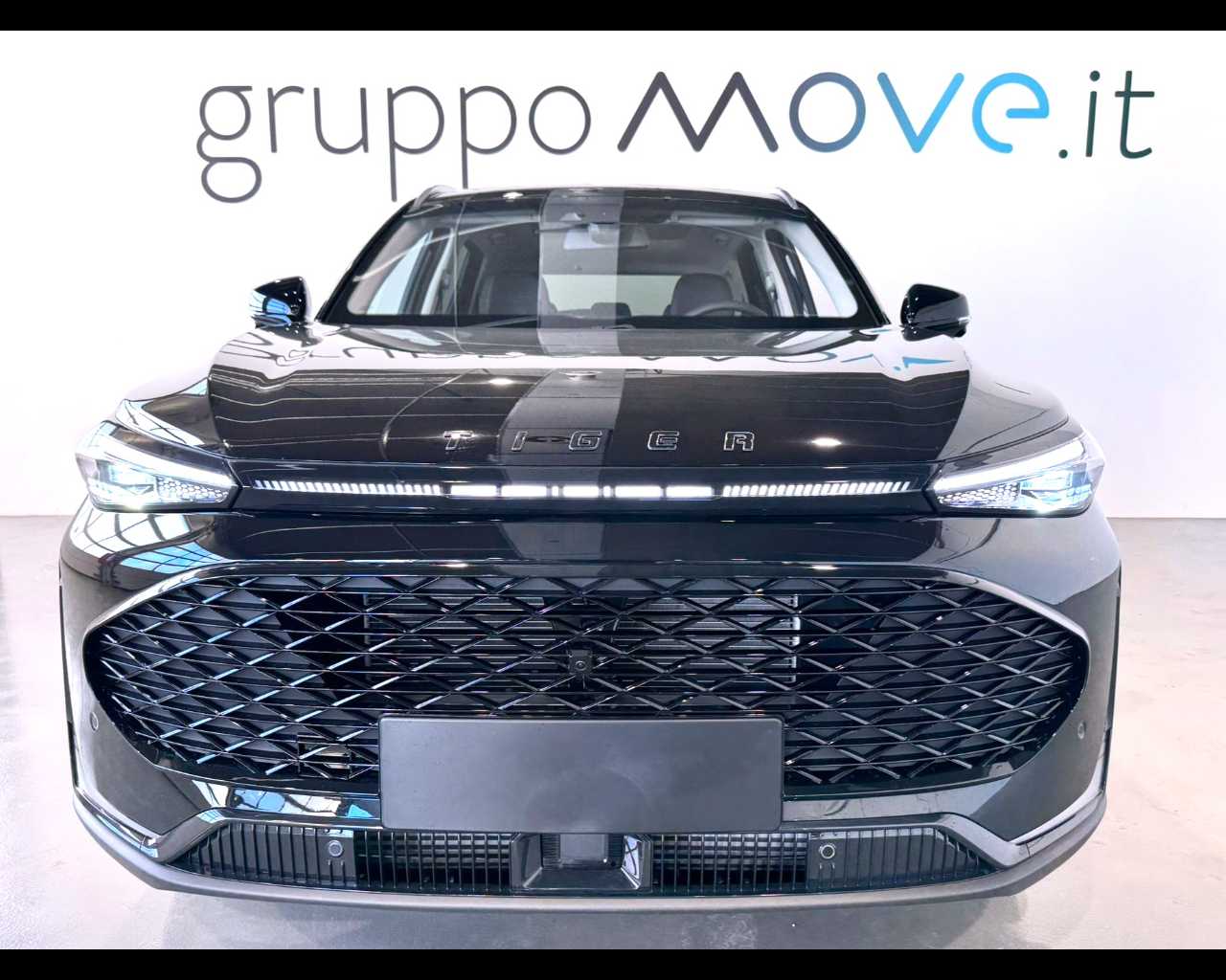 Tiger Eight Nuovo gPL Eight Mestre