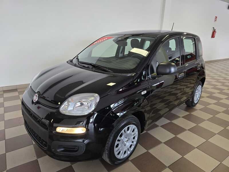 Foto veicolo FIAT NUOVA PANDA Panda My25 1.0 70cv Hybrid Panda Elettrica/Benzina