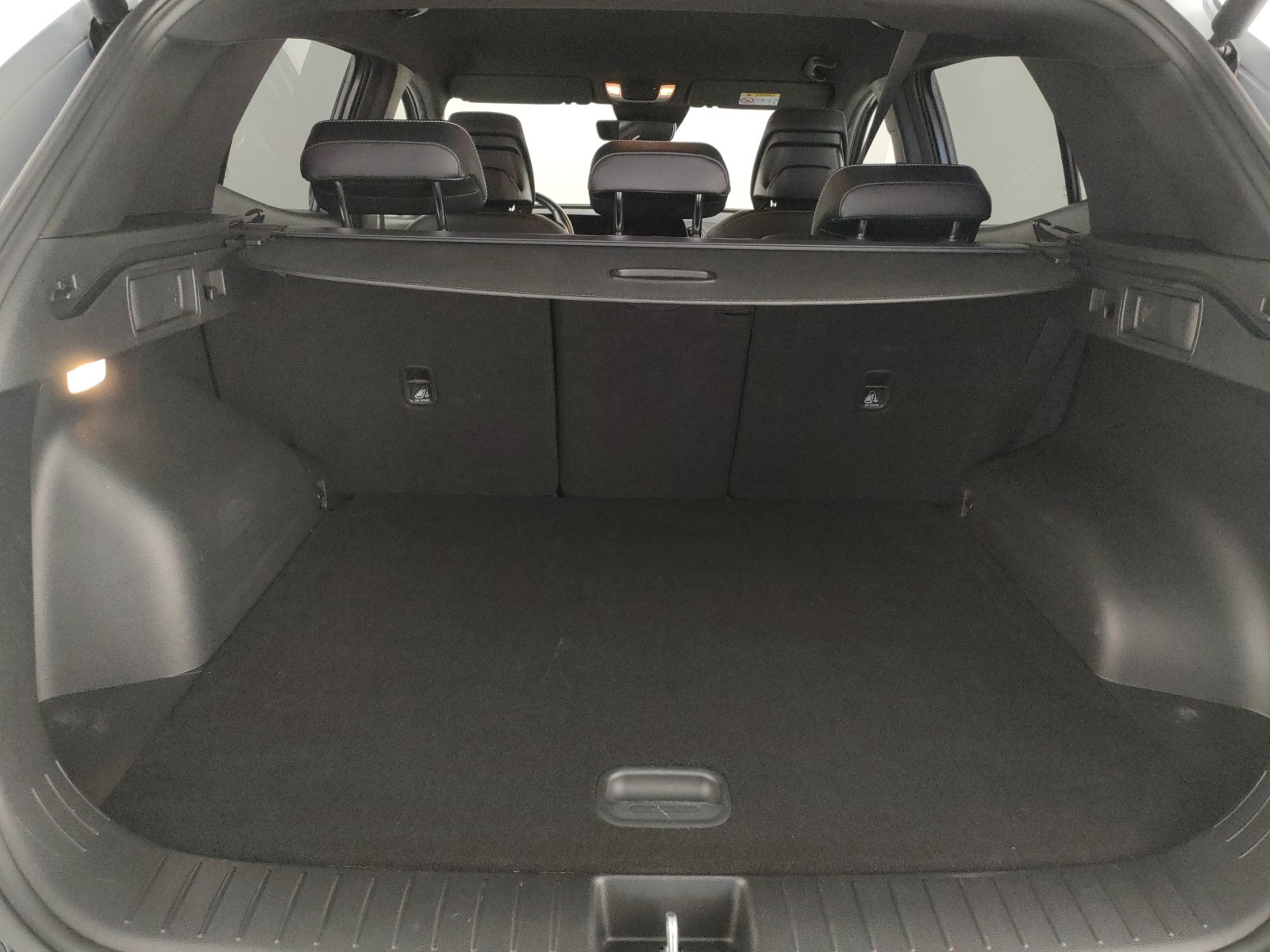 Kia Sportage Usato 2023 Sportage Legnago
