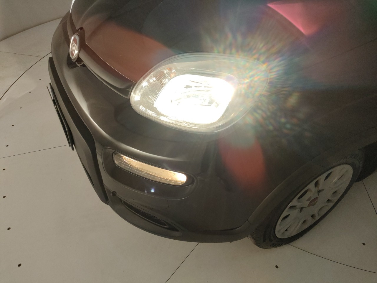 Fiat Panda Usato 2024 Panda Modena