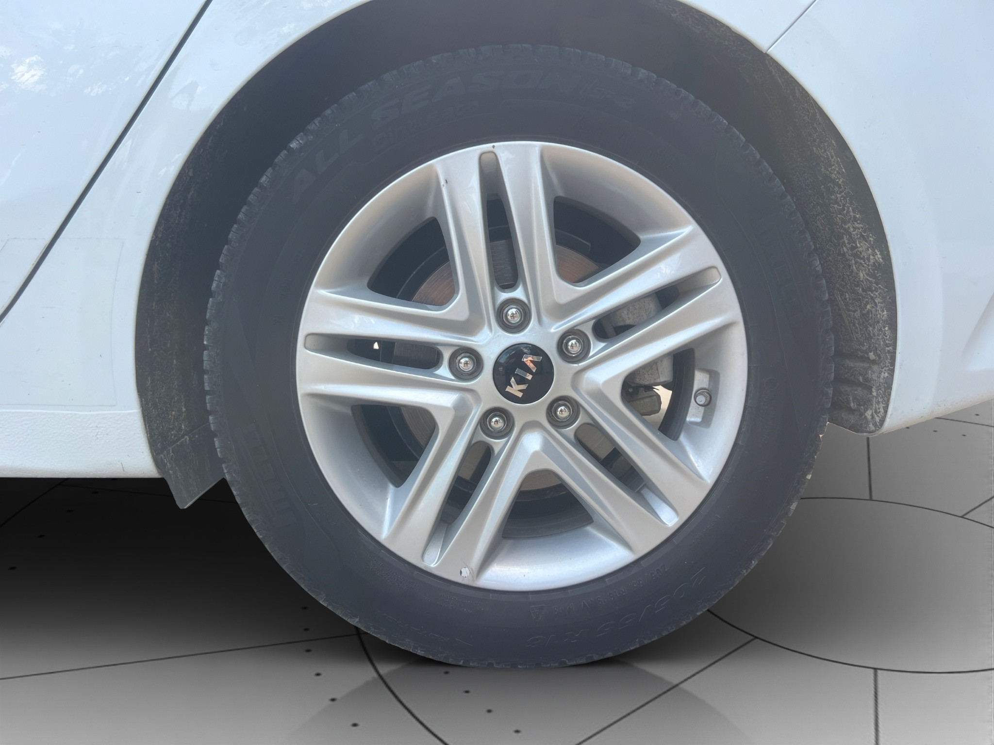 Kia Ceed Usato 2019 Ceed Rovigo