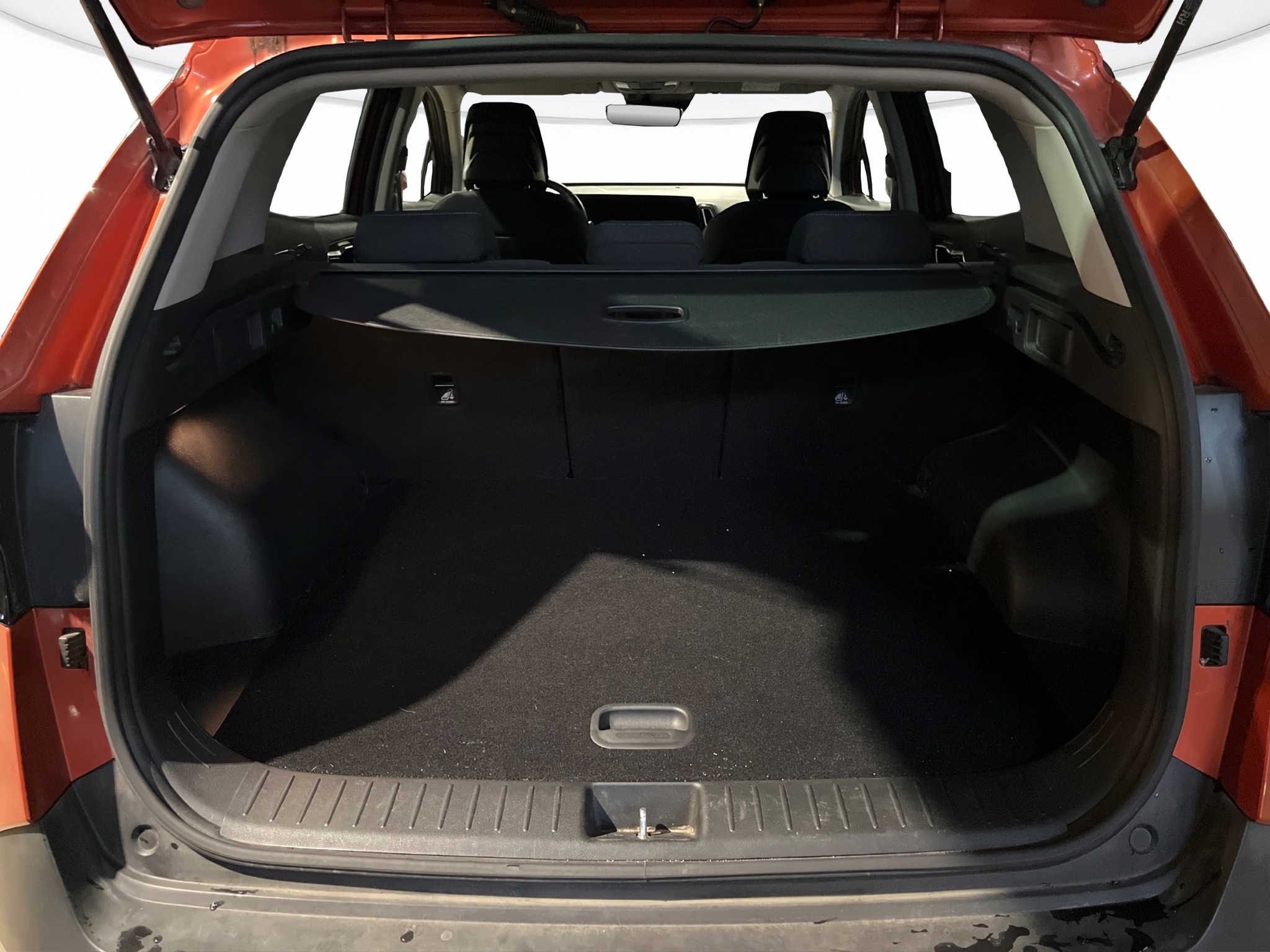 Kia Sportage Usato 2023 Sportage Verona