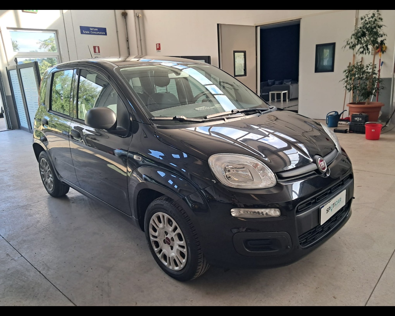 Foto FIAT Panda 1.2 Easy s&s 69cv 