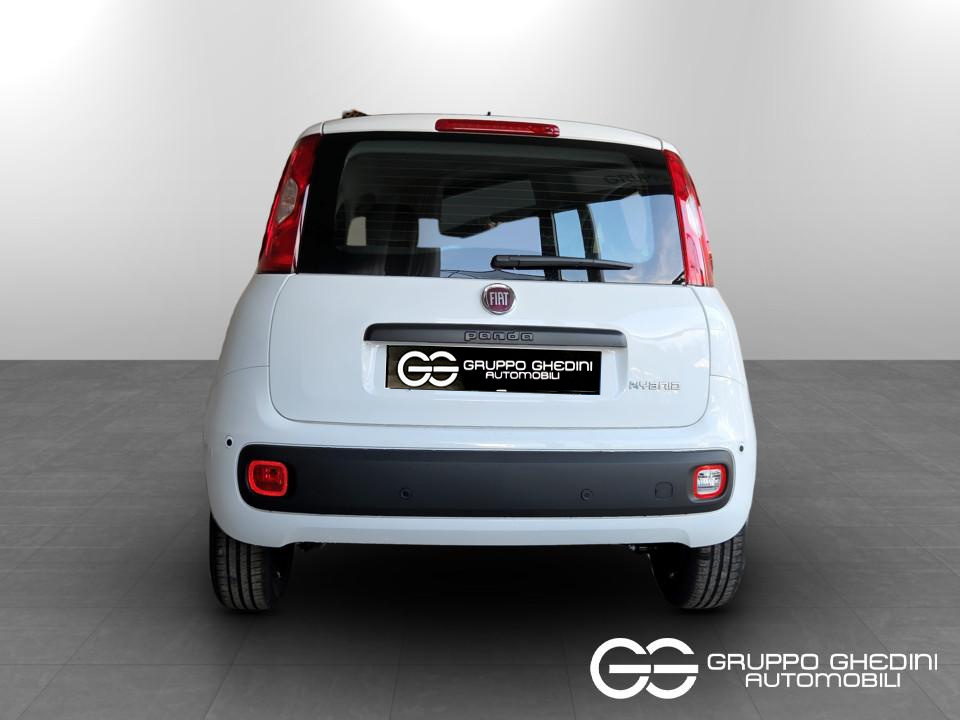 FIAT Panda Pandina My26 1.0 65cv Hybrid Pop Ibrida km0 - 4
