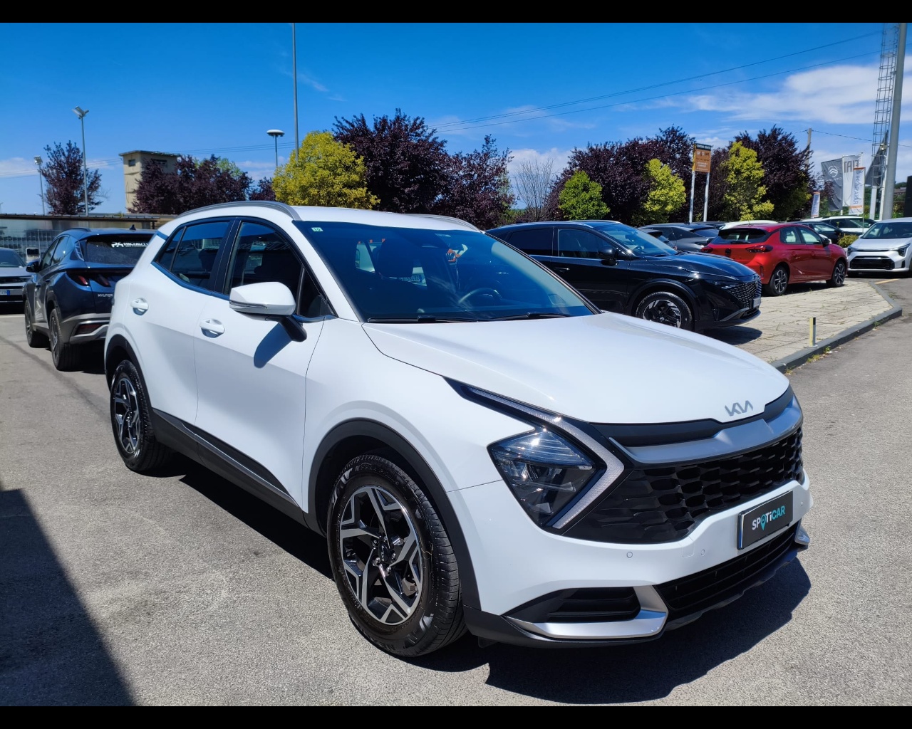 Foto KIA Sportage 1.6 tgdi mhev Business imt