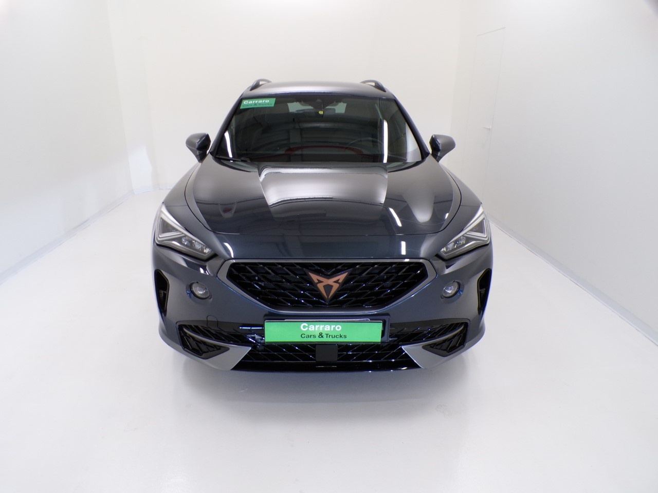 Cupra Formentor Formentor 2.0 TDI 4Drive - 2