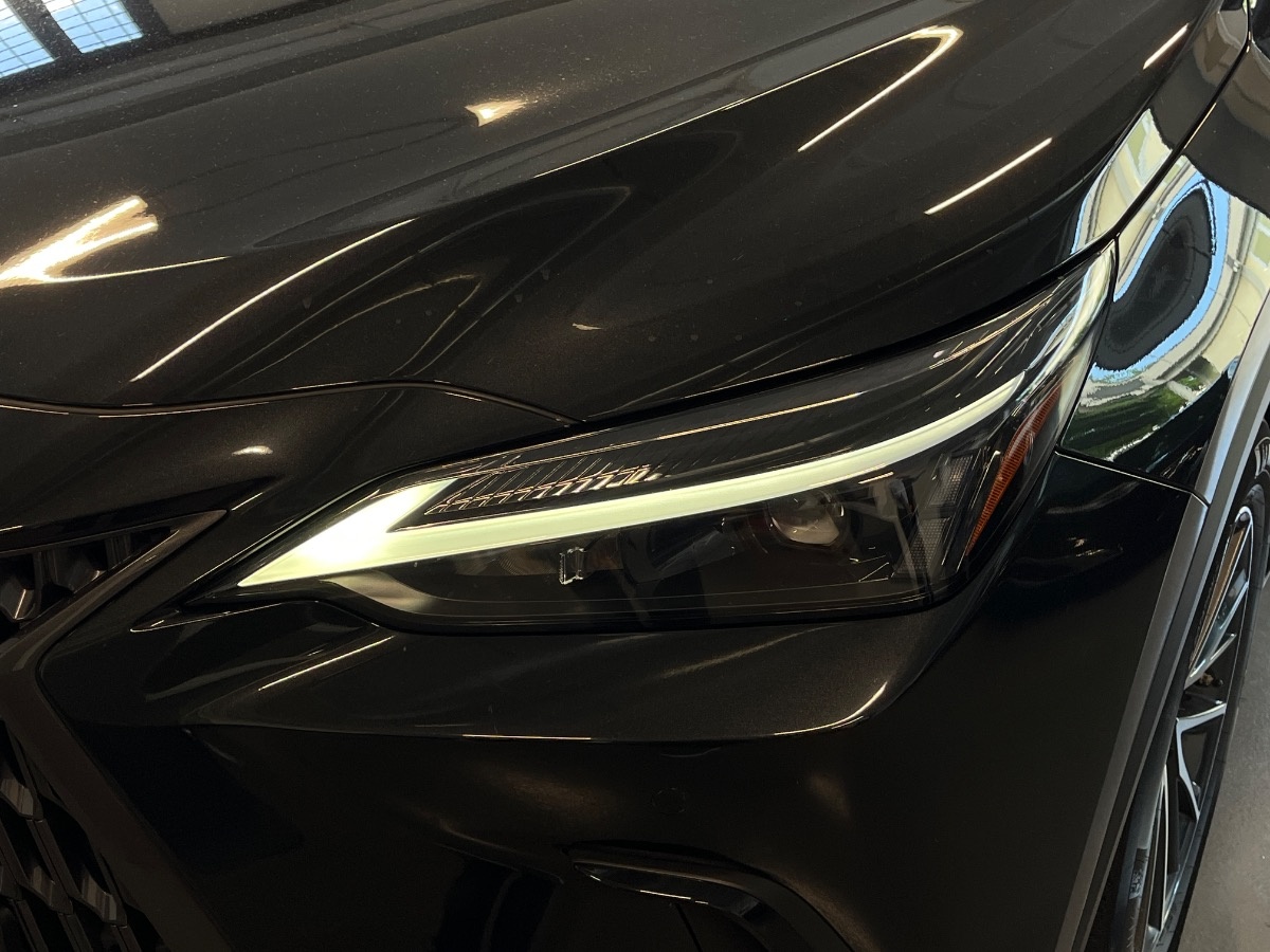 Lexus NX Usato 2022 NX Altavilla Vicentina