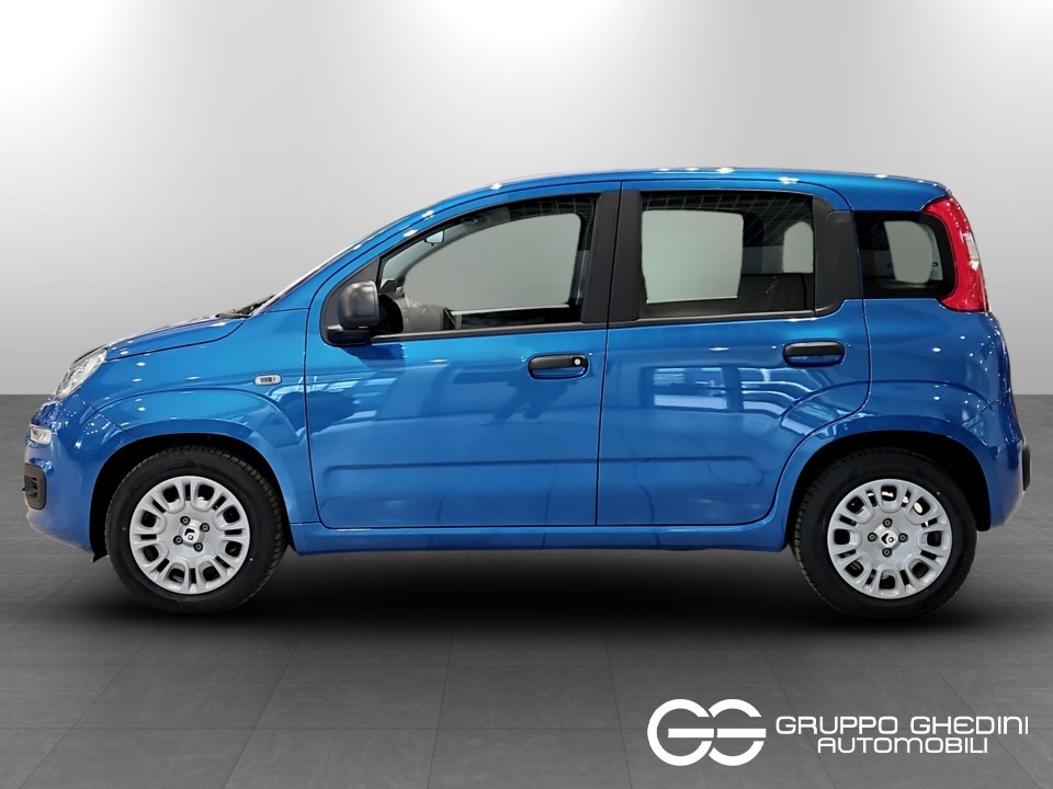 FIAT Panda Pandina 1.0 firefly hybrid Icon s&s 70cv Ibrida usato - 1