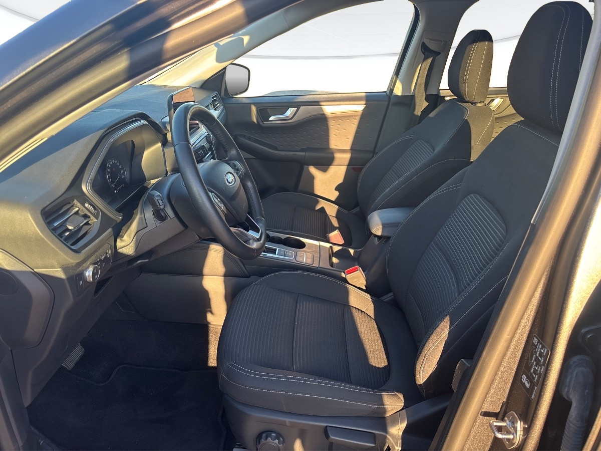 Ford Kuga Usato 2021 Kuga Este