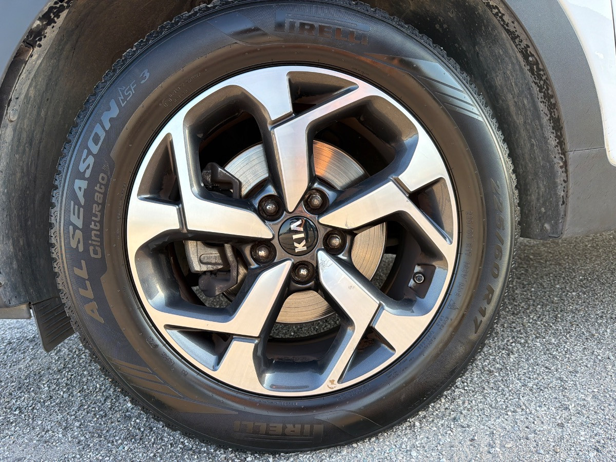 Kia Sportage Usato 2020 Sportage Rovigo