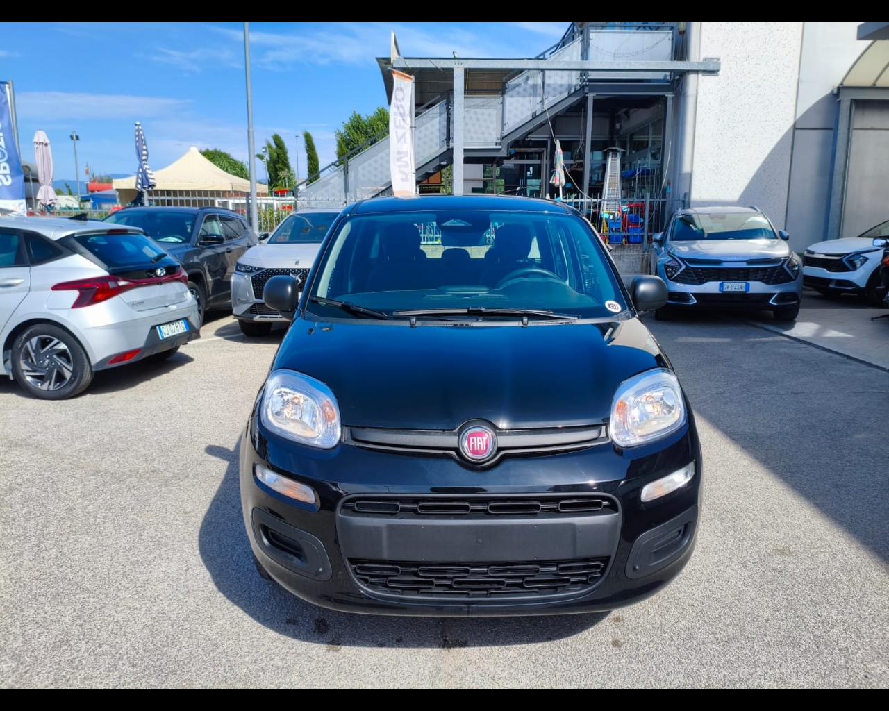 Foto FIAT Panda 1.0 firefly hybrid s&s 70cv 5p.ti