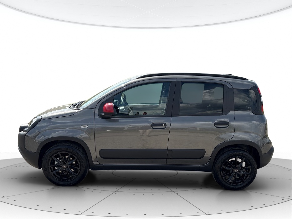 Fiat Panda Usato 2023 Panda Rovigo