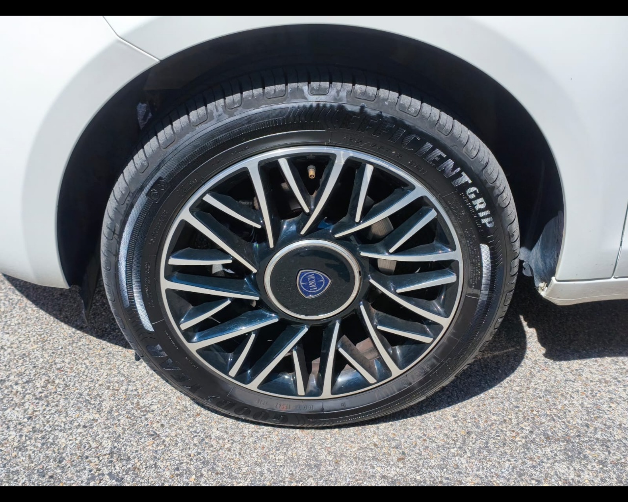 Foto LANCIA Ypsilon 1.0 firefly hybrid Platino s&s 70cv