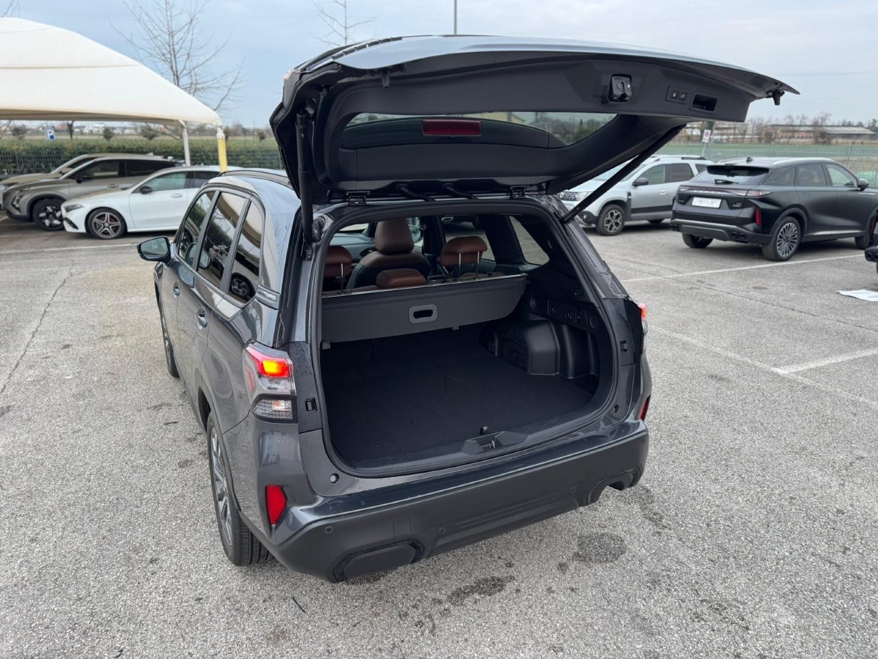 Subaru Forester Forester e-boxer 2.0i Premium - 11
