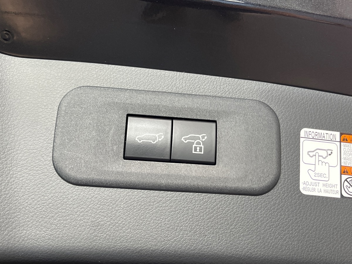 Lexus NX Usato 2022 NX Altavilla Vicentina