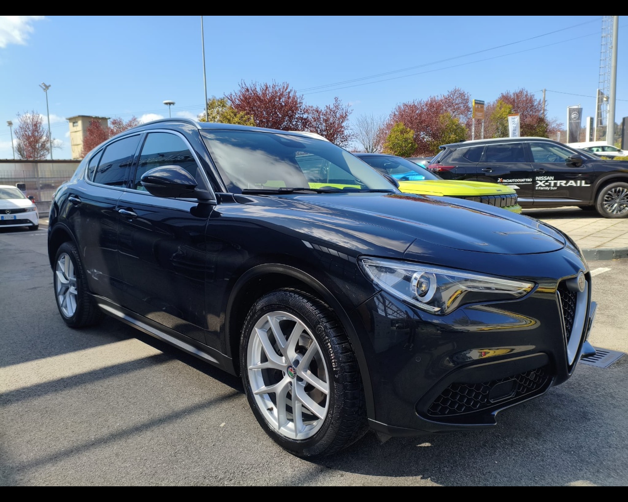 Foto ALFA ROMEO Stelvio 2.0 t First Edition Q4 280cv auto