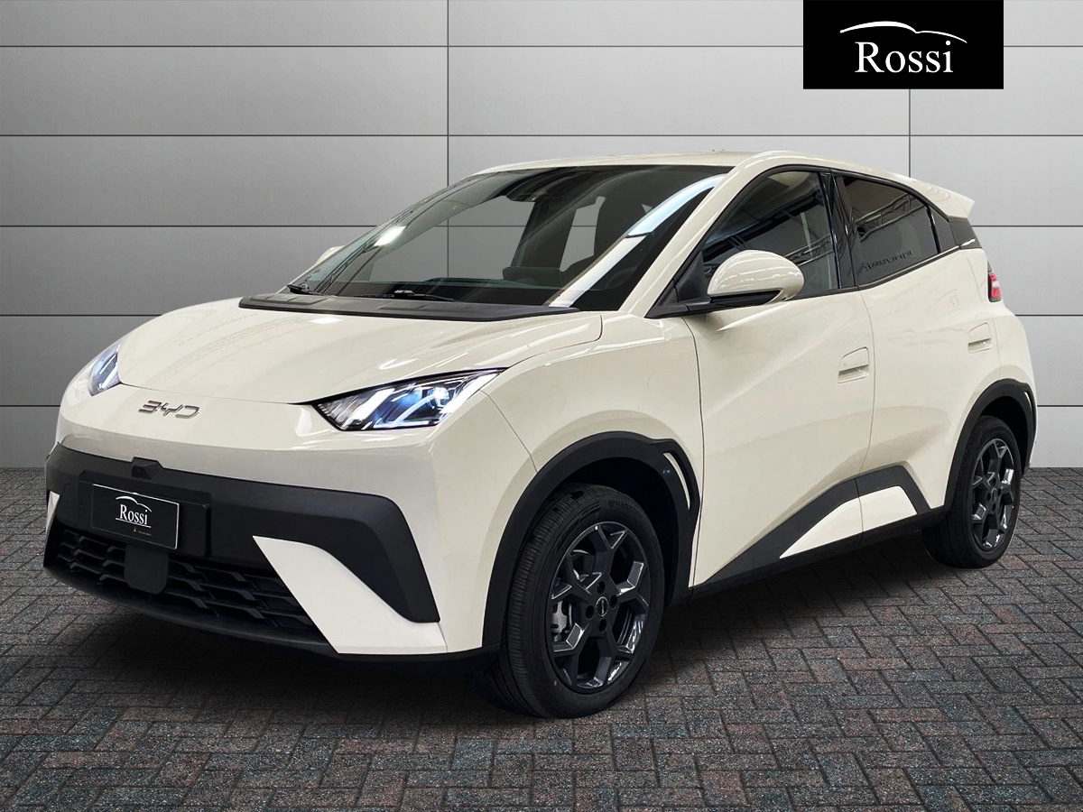 BYD BYD DOLPHIN SURF Comfort