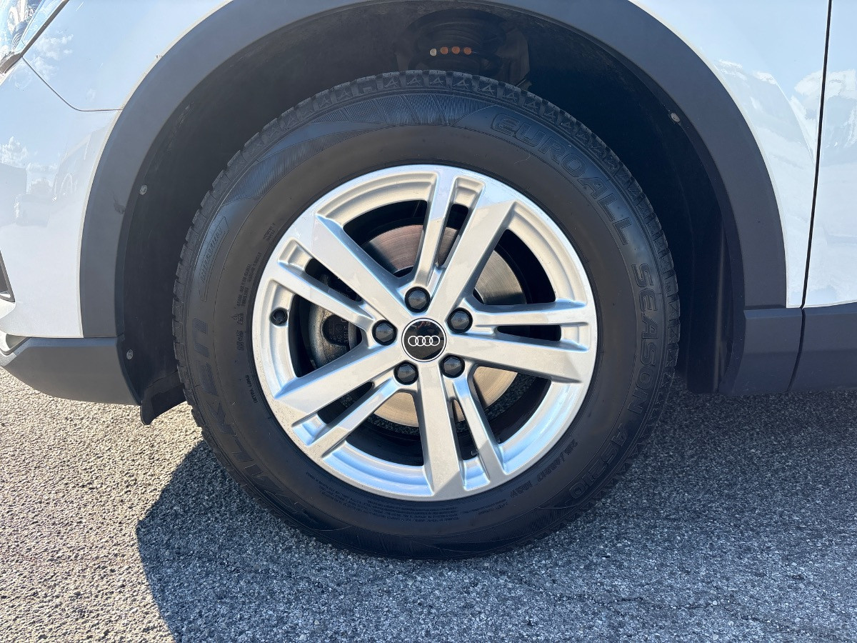 Audi Q3 Usato 2021 Q3 Rovigo