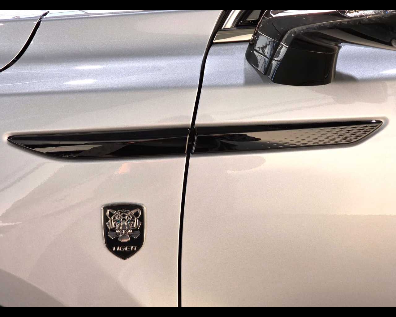 Tiger Eight Nuovo gPL Eight Mestre