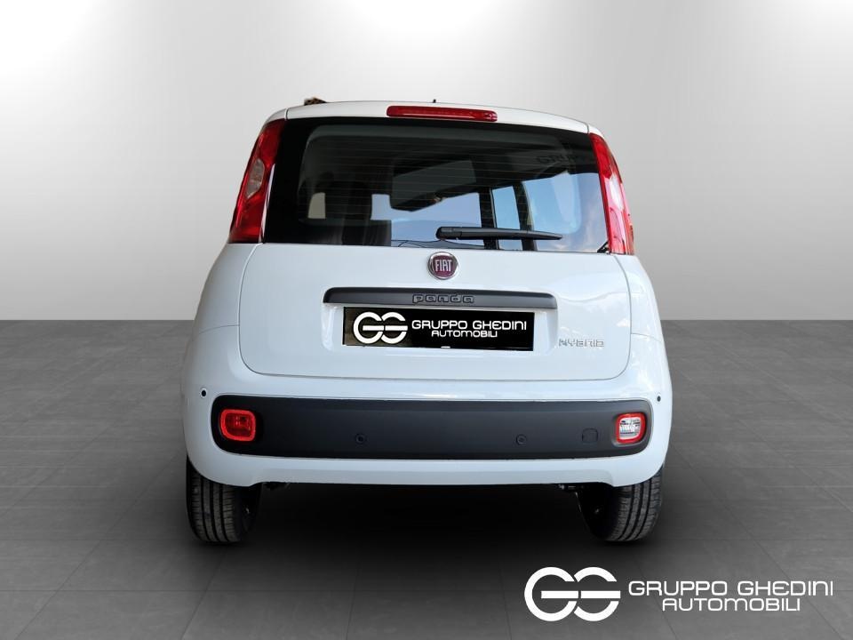 FIAT Panda Pandina My26 1.0 65cv Hybrid Pop Ibrida km0 - 4