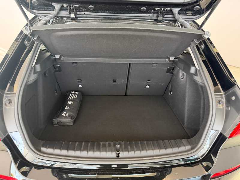 Serie 1 F40 - 116d Auto