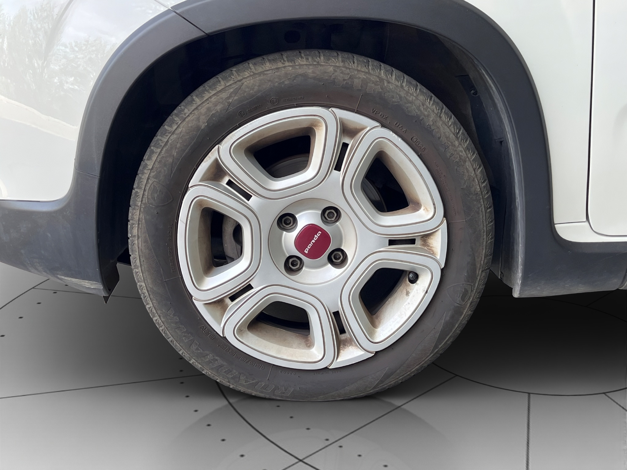Fiat Panda Usato 2024 Panda Cerea