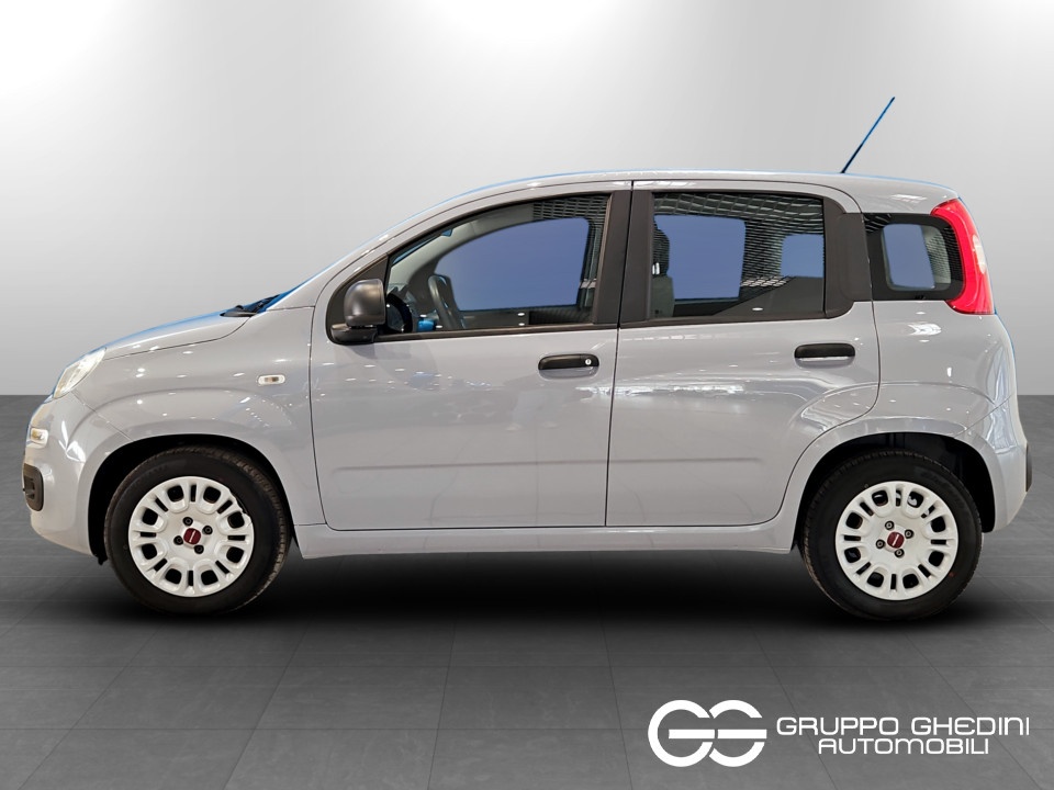 FIAT Panda 1.0 firefly hybrid s&s 70cv Ibrida usato - 1