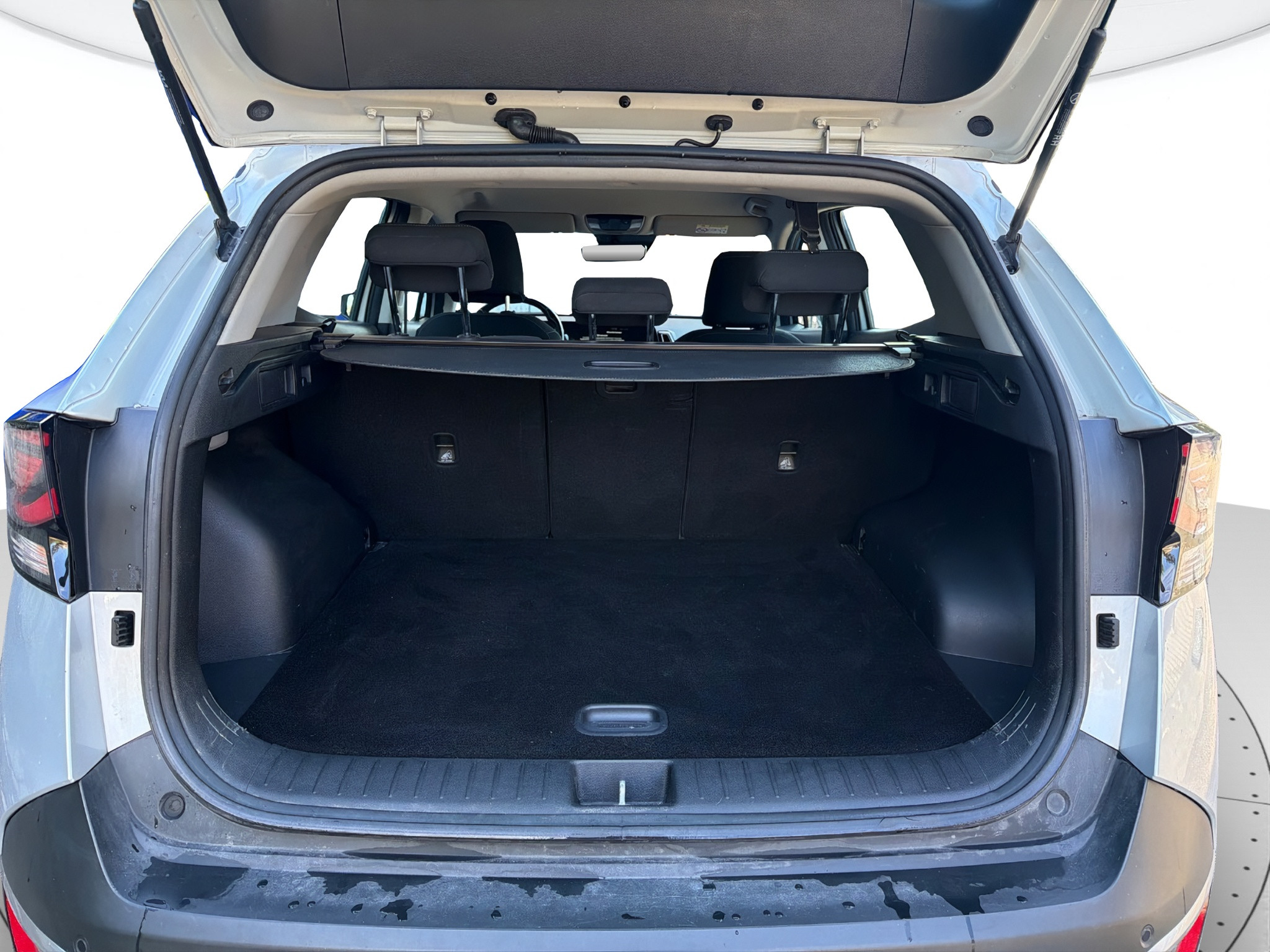 Kia Sportage Usato 2022 Sportage Reggio Emilia