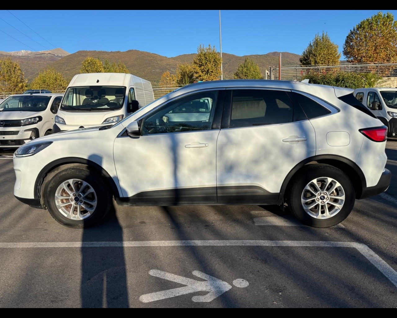 Foto FORD Kuga 1.5 ecoblue Titanium 2wd 120cv